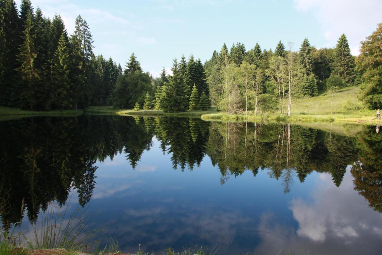 Chalet Des Rochires Gérardmer Exteriör bild